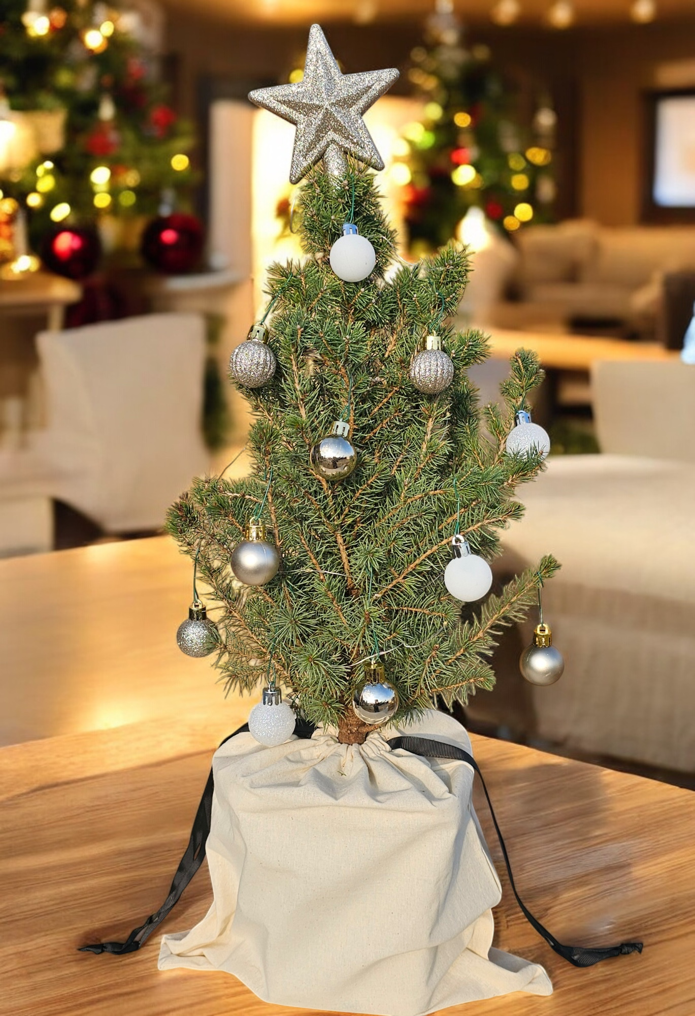 Golden Radiance Tabletop Mini Christmas Tree - Ma Cherie Roses