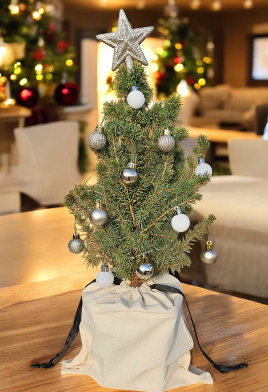 Golden Radiance Tabletop Mini Christmas Tree - Ma Cherie Roses