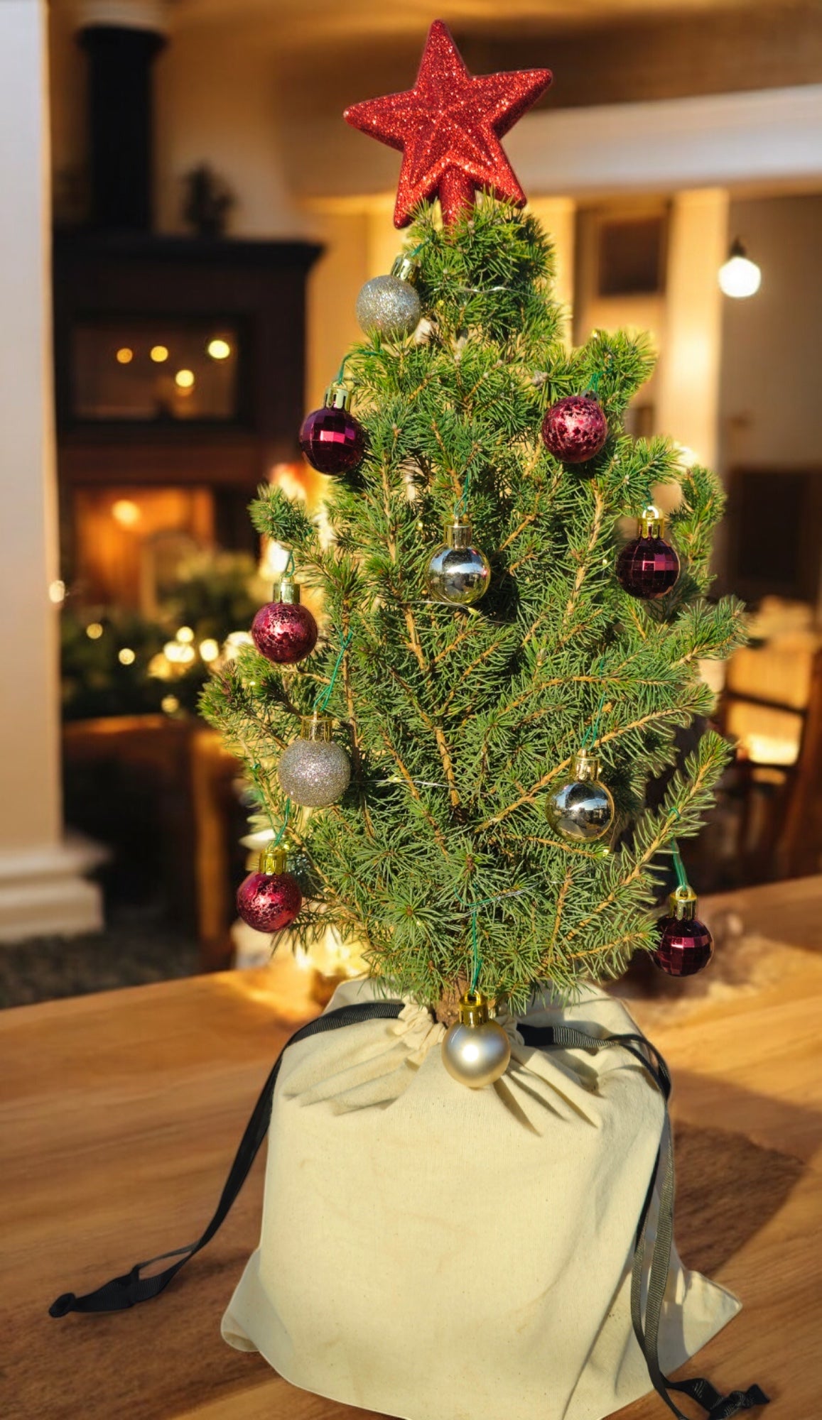 Golden Radiance Tabletop Mini Christmas Tree - Ma Cherie Roses