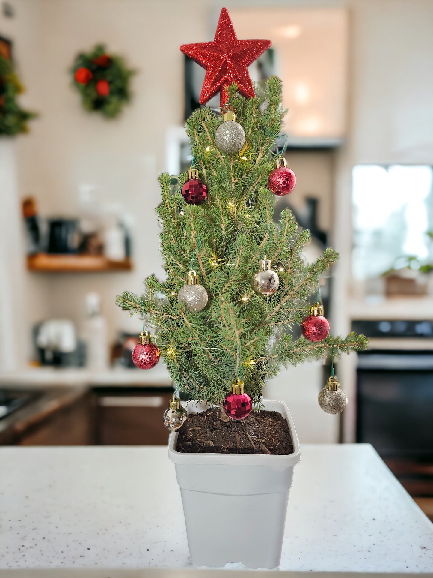 Red Star - Gold/Red Ornaments Tabletop Mini Christmas Tree - Ma Cherie Roses