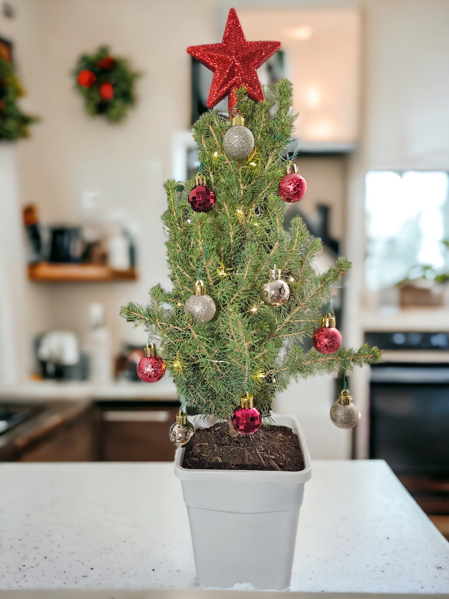 Red Star - Gold/Red Ornaments Tabletop Mini Christmas Tree - Ma Cherie Roses